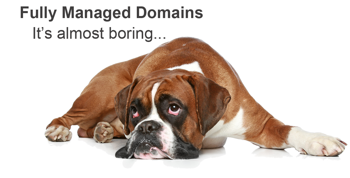 Fully managed domain names